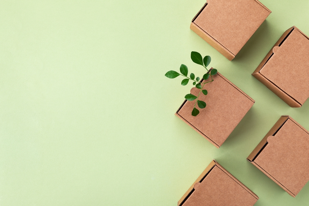 Boxes with a plant